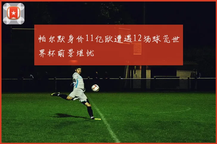 帕尔默身价11亿欧遭遇12场球荒世界杯前景堪忧